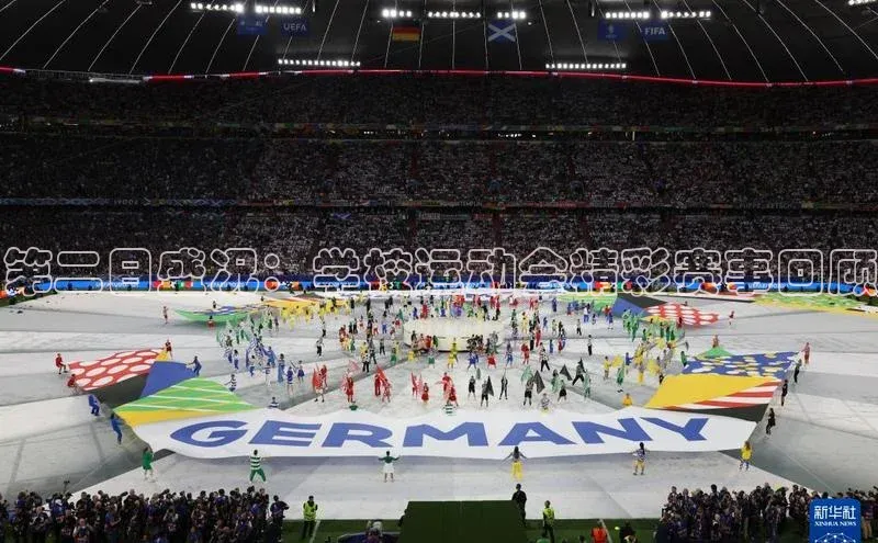 焦点平台的注册与登录地址