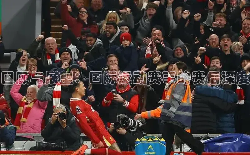 焦点娱乐app下载官网