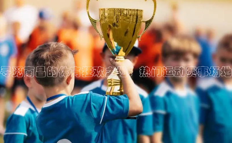 焦点中文app登录入口