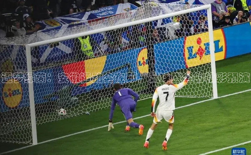 焦点登录地址入口