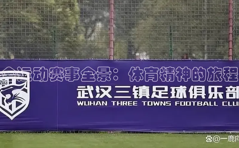 全运动赛事全景：体育精神的旅程