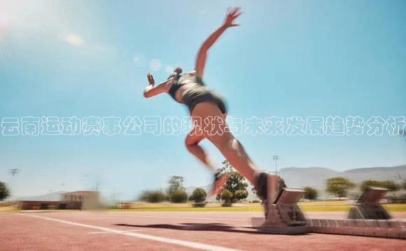 云南运动赛事公司的现状与未来发展趋势分析